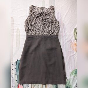 Ann Taylor Loft Petites Brown & Gray Cheetah Print Ruffle Front Sheath Dress